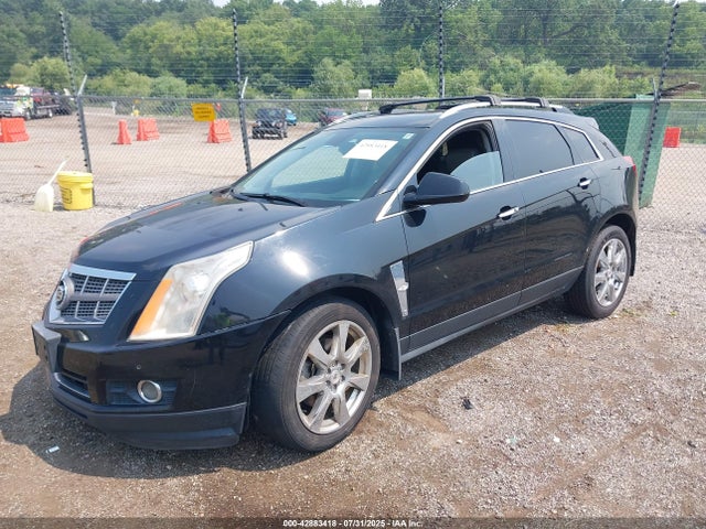 2010 CADILLAC SRX 3GYFNFEYXAS646986 Photo 1