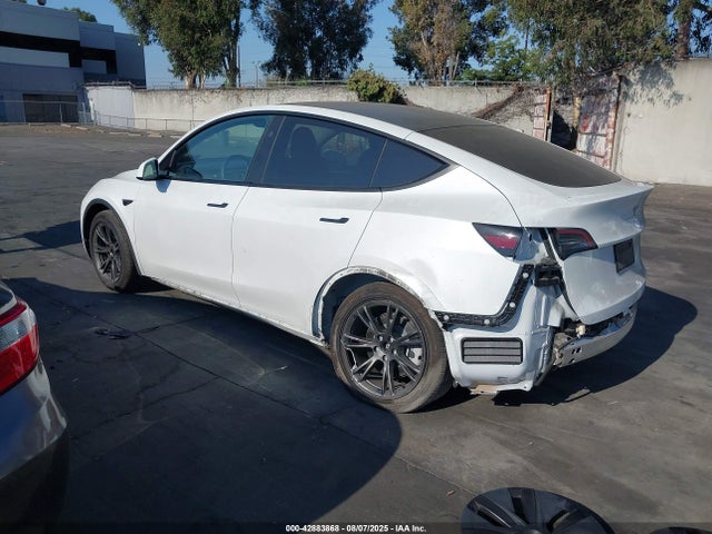 2024 TESLA MODEL Y 7SAYGDEE2RF121527 Photo 2