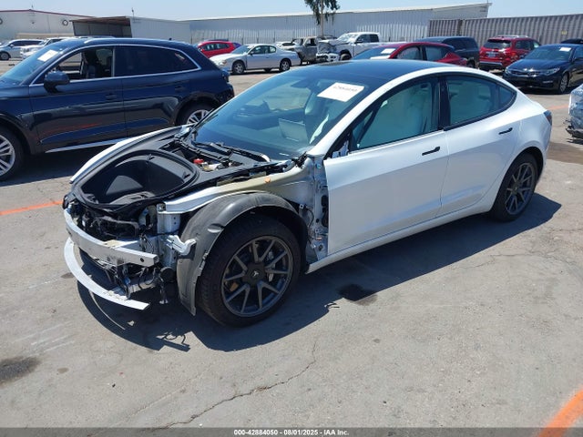 2019 TESLA MODEL 3 5YJ3E1EB1KF406811 Photo 1