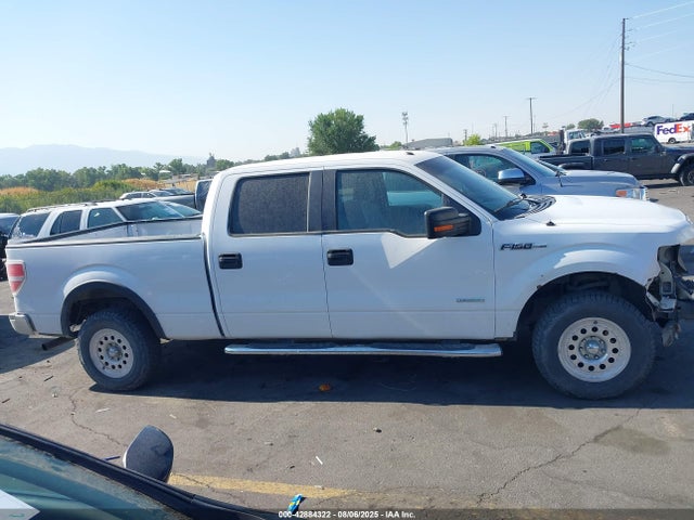 Ford F-150 2014 1FTVW1ET5EKE86281 Image 14