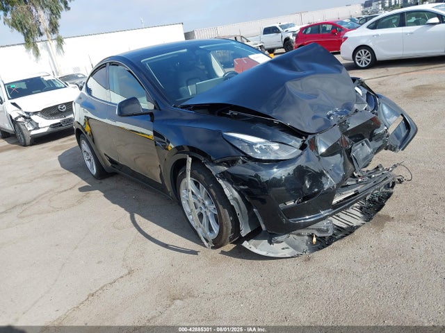 2023 TESLA MODEL Y 7SAYGAEE1PF594220 Photo 0