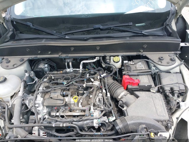 3FMCR9B61RRE39774 Ford dragon