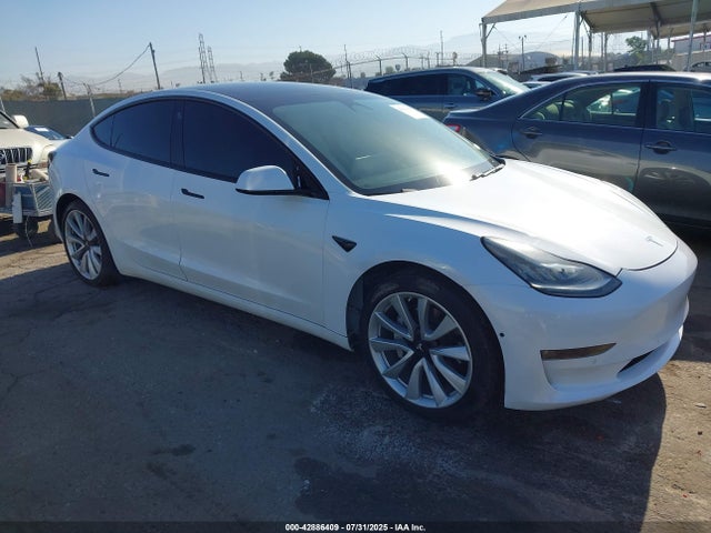 2019 TESLA MODEL 3 5YJ3E1EA5KF429435 Photo 0
