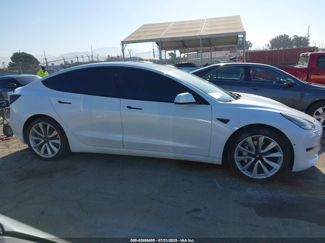 Tesla 2019 2019 5YJ3E1EA5KF429435 Image 13