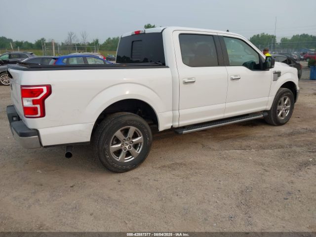 2020 FORD F-150 1FTEW1EP2LFA84694 Photo 3