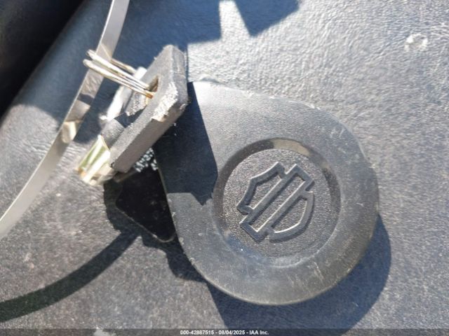 2020 HARLEY-DAVIDSON FLTRK 1HD1KZF13LB634056 Photo 10