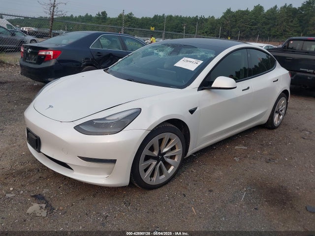 Tesla 2021 2021 5YJ3E1EA4MF042717 Image 2