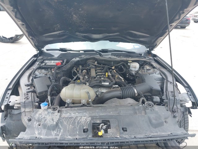 Ford 2021 2021 1FA6P8TH0M5113922 Image 10