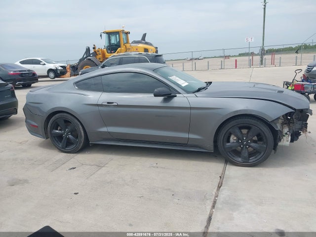 Ford 2021 2021 1FA6P8TH0M5113922 Image 13