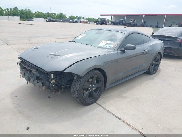 Ford 2021 2021 1FA6P8TH0M5113922 Image 2