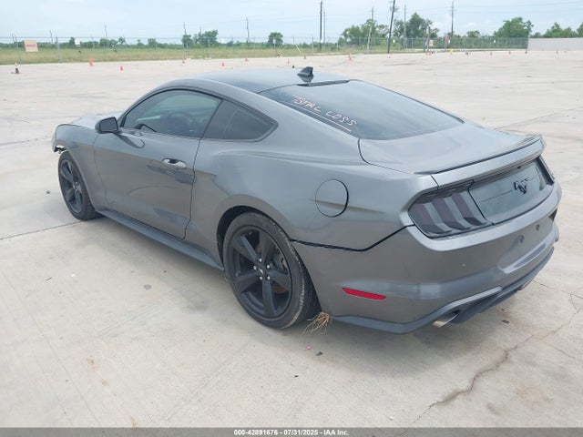 Ford 2021 2021 1FA6P8TH0M5113922 Image 3