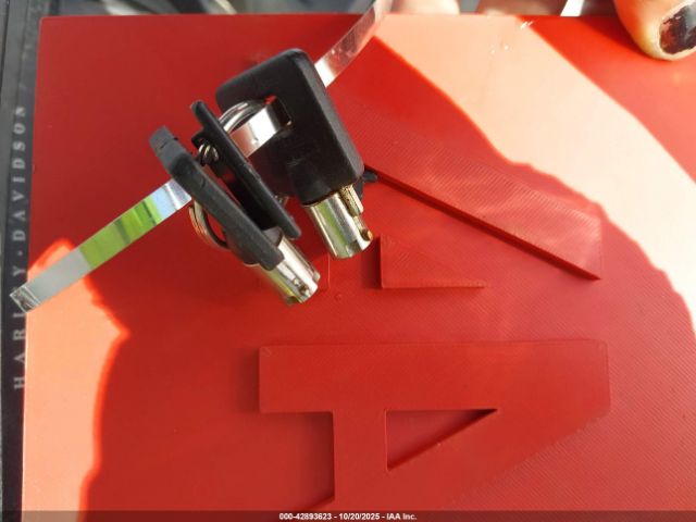 2006 HARLEY-DAVIDSON FLTRI 1HD1FSW106Y611458 Photo 10