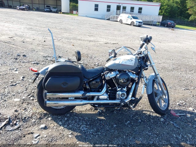 1HD1BVJ16RB038772 Harley-Davidson Softail Standard