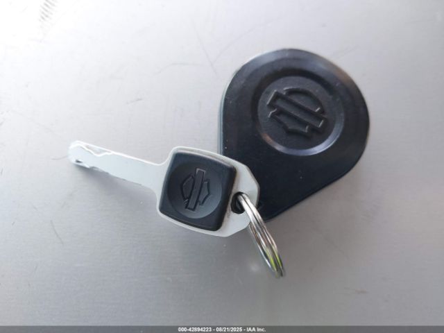 2019 HARLEY-DAVIDSON FXBB 1HD1YJJ62KB030127 Photo 10