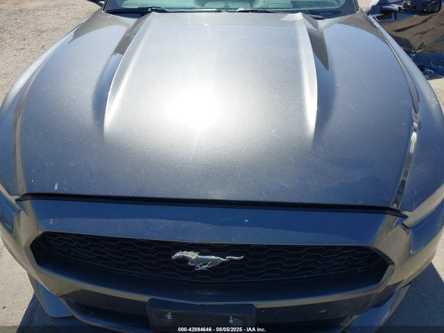 1FA6P8AMXG5254985 Ford Mustang