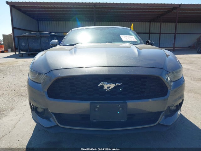 1FA6P8AMXG5254985 Ford Mustang