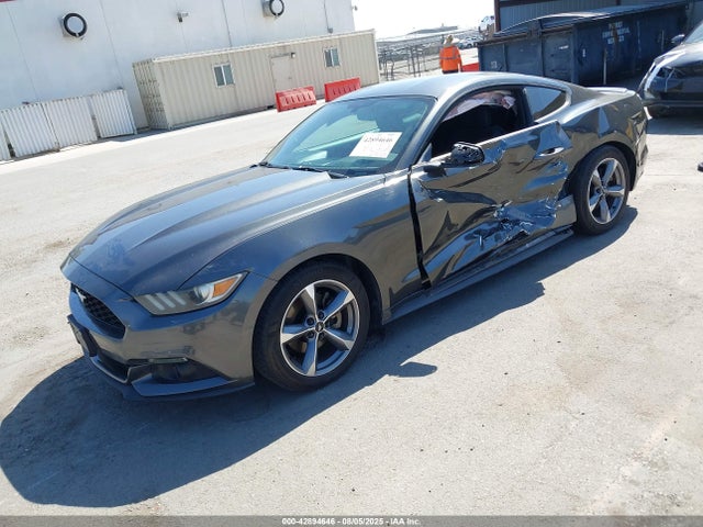 1FA6P8AMXG5254985 Ford Mustang