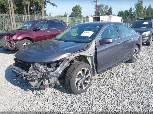 1HGCR2F88GA207236 Honda k24w1