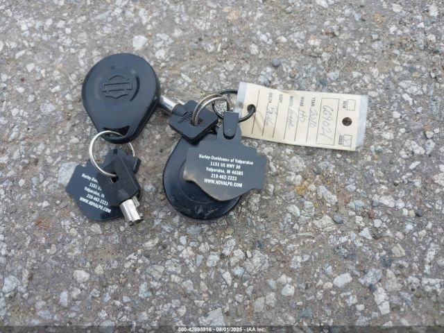 2010 HARLEY-DAVIDSON FLHR 1HD1FB410AB669021 Photo 10