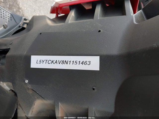 L5YTCKAV8N1151463 Znen 2022