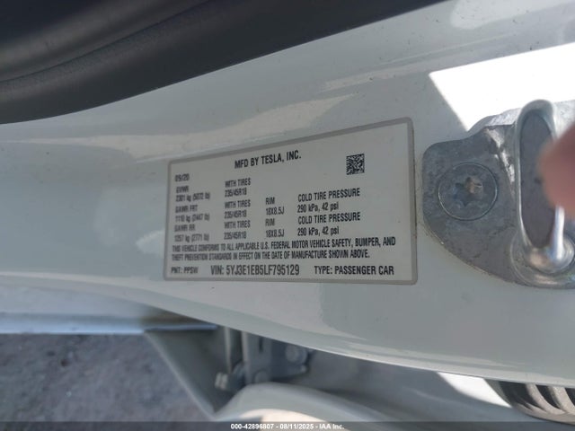 2020 TESLA MODEL 3 5YJ3E1EB5LF795129 Photo 8