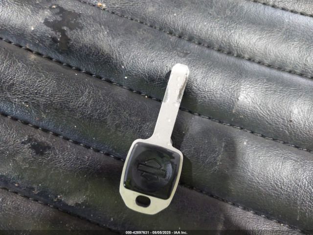 2018 HARLEY-DAVIDSON FLSL 1HD1YDJ15JC023820 Photo 10