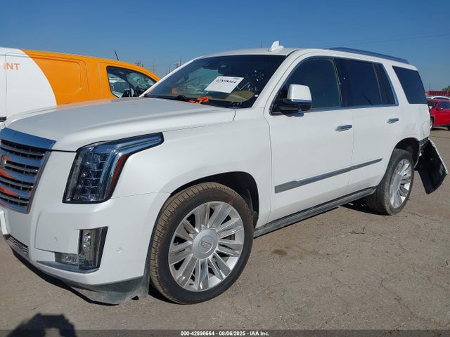 2020 CADILLAC ESCALADE 1GYS4DKJ5LR185005 Photo 1