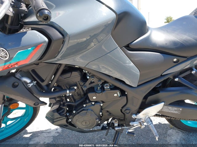 MH3RH20Y5PK009777 Yamaha Mtn320 (mt-03)