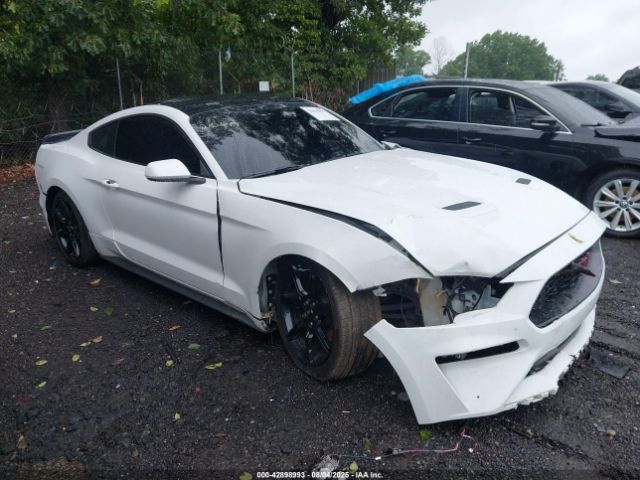 2019 FORD MUSTANG 1FA6P8TH3K5111482