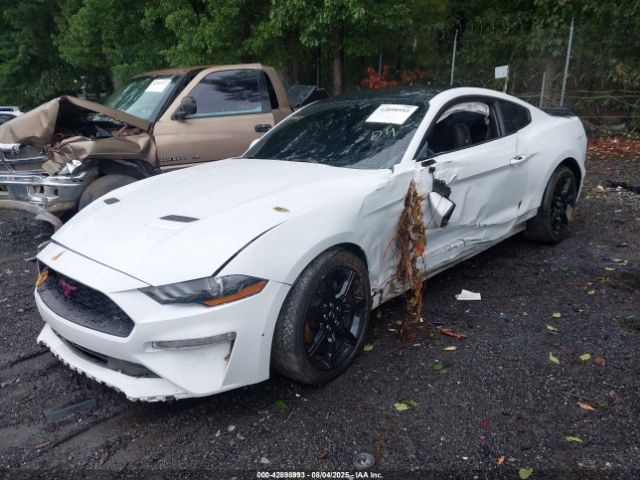 2019 FORD MUSTANG 1FA6P8TH3K5111482 Photo 1