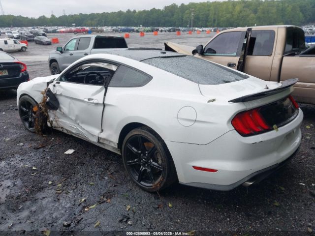 2019 FORD MUSTANG 1FA6P8TH3K5111482 Photo 2