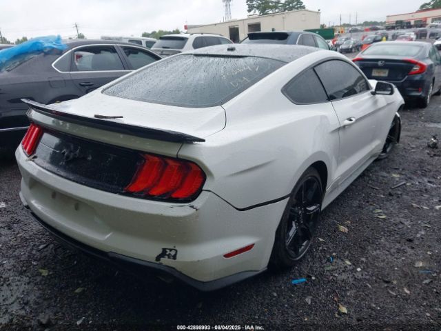2019 FORD MUSTANG 1FA6P8TH3K5111482 Photo 3