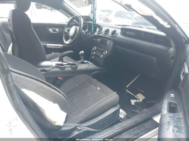 2019 FORD MUSTANG 1FA6P8TH3K5111482 Photo 4