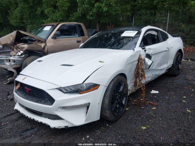 2019 FORD MUSTANG 1FA6P8TH3K5111482 Photo 5