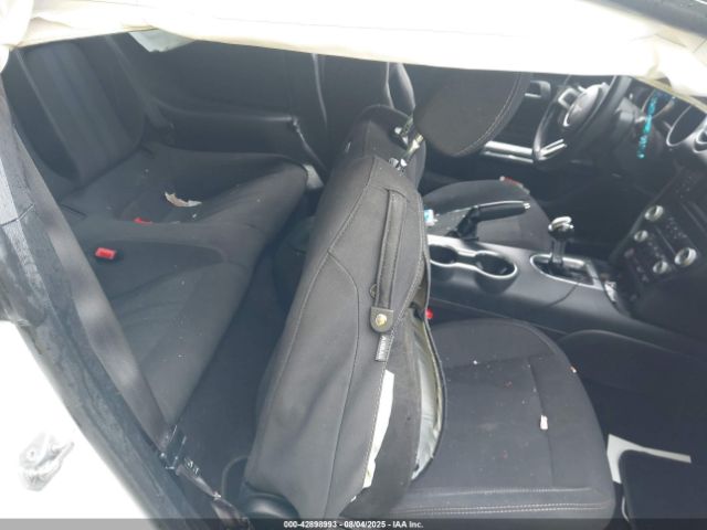 2019 FORD MUSTANG 1FA6P8TH3K5111482 Photo 7