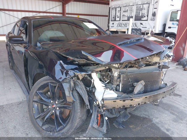 2C3CDXHG2KH748599 Dodge 2019