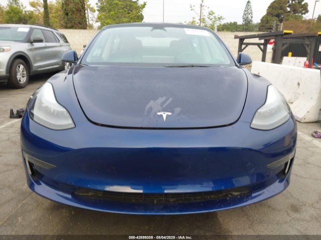 2023 TESLA MODEL 3 5YJ3E1EA0PF709075 Photo 5