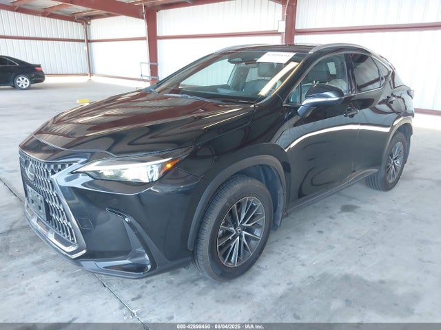 Lexus t24a-fts 2023 2T2GGCEZ4PC020654 Image 2