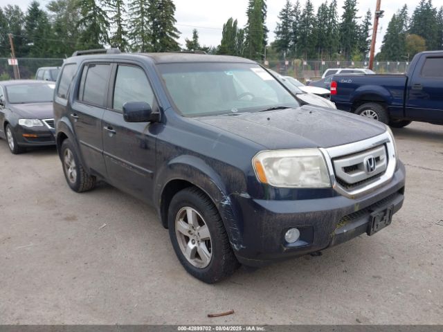 2010 HONDA PILOT 5FNYF4H5XAB024995