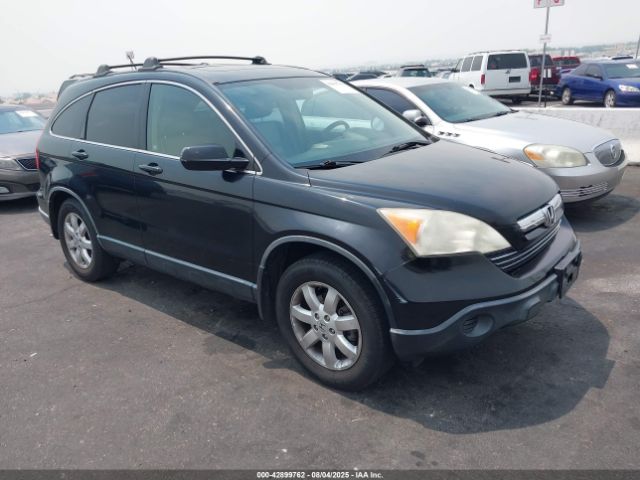 Auction sale of the 2009 Honda Cr-v Ex-l, vin: JHLRE38789C001147, lot number: 42899762