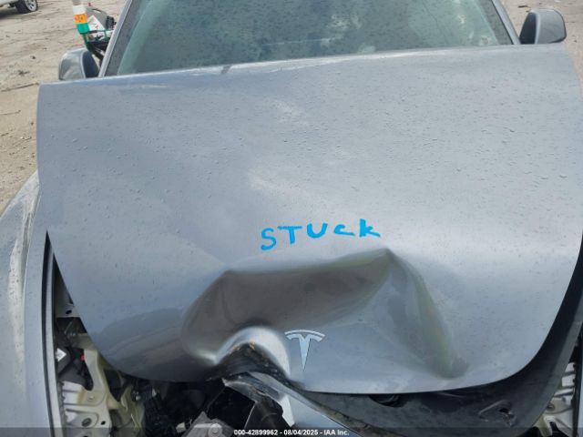 2025 TESLA MODEL 3 5YJ3E1EA2SF018381 Photo 9