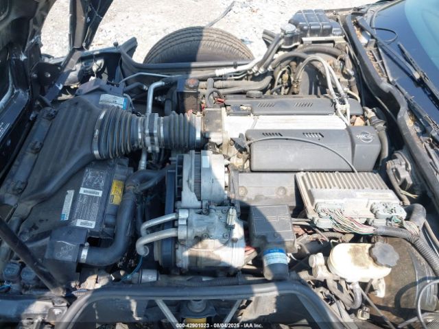 1994 CHEVROLET CORVETTE 1G1YY32P9R5117379 Photo 9