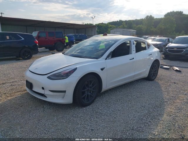 2022 TESLA MODEL 3 5YJ3E1EB1NF159519 Photo 1