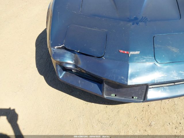 1981 CHEVROLET CORVETTE 1G1AY876XBS425182 Photo 5