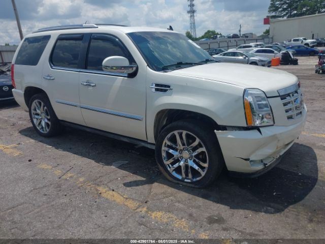 2011 CADILLAC ESCALADE 1GYS3CEF5BR309258