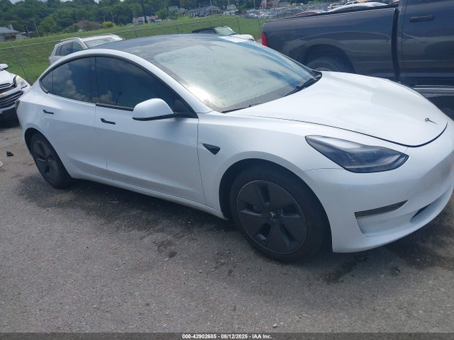 2023 TESLA MODEL 3 5YJ3E1EAXPF607251 Photo 0