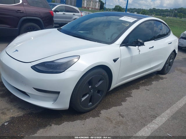 2023 TESLA MODEL 3 5YJ3E1EAXPF607251 Photo 1