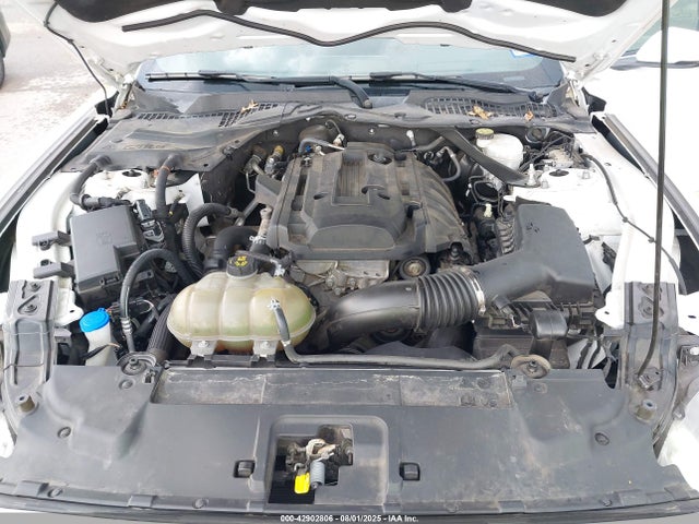 1FATP8UH9L5112719 Ford Mustang