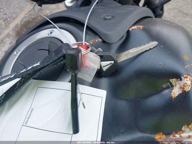 2024 KAWASAKI EN650 JKAENEC19RDA10098 Photo 10