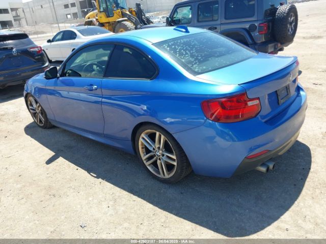 2014 BMW 228I WBA1F5C51EV256338 Photo 2